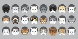 Cat vector breeds cute pet animal set illustration. Different type of vector cats