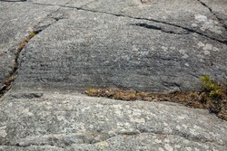 Glacially scoured granite bedrock, with striations and a groove near the summit of Mt. Monadnock in Jaffrey, New Hampshire.