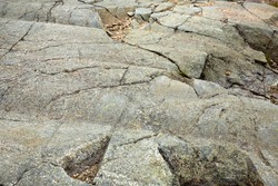 Scoured granite bedrock, with glacial striations and grooves, in a hiking trail at the summit of Mt. Kearsarge in Wilmot, New Hampshire.
