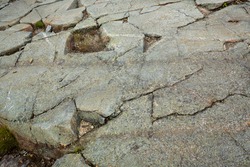 Scoured granite bedrock, with glacial striations and grooves, in a hiking trail at the summit of Mt. Kearsarge in Wilmot, New Hampshire.