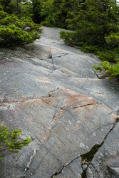 Glacially scoured, wet granite bedrock with grooves and striations, in a hiking trail near the summit of Mt. Kearsarge in Wilmot, New Hampshire.