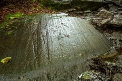 Scoured, wet granite bedrock, with glacial striations in a hiking trail on Mt. Kearsarge in Wilmot, New Hampshire.