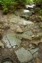 Series of scoured granite ooutcrops, with glacial striations in a hiking trail on Mt. Kearsarge in Wilmot, New Hampshire.