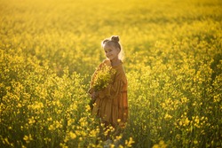 a little happy girl in a field with yellow flowers on a walk, a girl walks in a field at sunset and collects flowers, a yellow field,yellow flowers