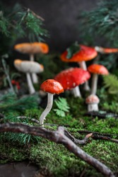 Forest fly agarics on green moss with fern and pine branches. Decorative composition made of amanita and natural materials. Red mushrooms.