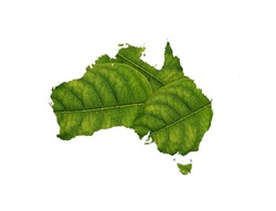 Australia map made of green leaves, concept ecology Map green leaf on soil background