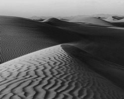 Sand Dunes Ripples in Black and White, Wahiba Sands, Oman