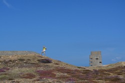 Young blonde boy stood in the sunshine on the near horizon against a clear blue sky in the wild rocky countryside with purple heather. A World War 2 concrete bunker fortress looms in the background.