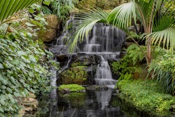 Water in motion on this ornamental waterfall, set in the tropical house at kew Gardens.