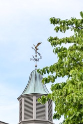 A weather vane with a flying eagle on top of a building.  A tree is in the foreground.