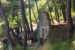 The ruins of an ancient building among pines in the city of Faselis in the south of Turkey