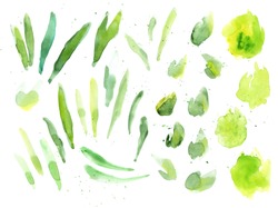 Green watercolor splash texture vector set. Hand drawn yellow and green blots drawing. Splattered backdrop. Abstract greenery smudges illustration. Realistic paint drops effect for postcard, banner