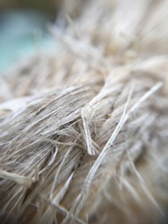 
Close-up of a gray rope used to moor a vaparetto in Venice with a blurred background