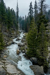 Clover Creek in Sequoia National Park.