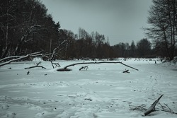gloomy winter landscape. horror. frozen river covered with snow. large dry tree branches lie on a frozen river.