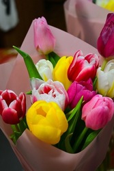 tulips in a bouquet. many tulips. tulips in spring. red, yellow, white purple tulips. flower composition.