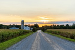 Rural gravel road, farm, sunset, Quebec, Canada