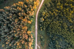Aerial top down drone view of forest road in rural countryside during golden summer sunset