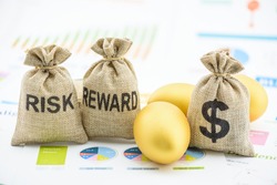 Long-term portfolio investment with risk-reward balancing for sustainable profit growth, financial concept : Risk, reward, US dollar bags and golden eggs on company business executive summary reports