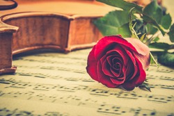 Valentine's day / eternal love or special occasion concept : Real fresh single red rose near stradivarius type violin on blurred musical notes in a romantic love song sheet music. Vintage color style