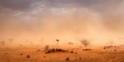 Climate change in Africa: dramatic dusty sandstorm blowing sand and dirt through savanna, disrupting life in Melkadida refugee camp , Dollo Ado, Somalia region, Ethiopia, Horn of Africa