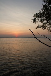 Pictured from the river banks during Sunrise, with a tree branch in the foreground