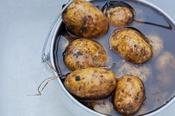 young unpeeled potatoes lying in water in an aluminum pot