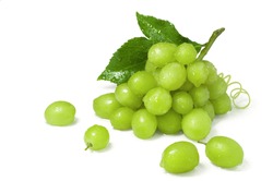 Ripe juicy sweet green grapes bunch isolated on white background