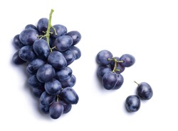 Bunch of ripe dark blue grapes isolated on white background. View from above.