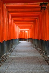 This is the Senbon Torii (Thousand Torii Gates) of Fushimi Inari-taisha Shrine in Fushimiku, Kyoto City, lined up closely along the approach from the main shrine to the inner shrine.