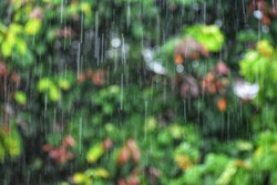 The rain water drops falling on the floor in rainy season