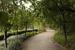 Curved path in a park with trees and plantation
