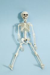 Isolated plastic toy skeleton on a vibrant pop blue turquoise background. Minimal color still life photography