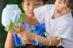 Selective focus at young seedling watering by young Asian girl and boy. Earthday concept.
