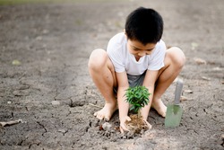 Young Thai boy planting little seedling on dry and crack empty land. Earthday concept. 