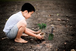 Dark Color tone, Young Thai boy planting little seedling on dry and crack empty land. Earthday concept.