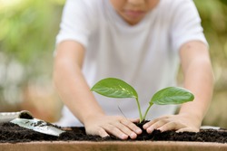 Selective focus at hand, Young Thai boy planting little seedling on the black soil in the garden. Earthday concept.
