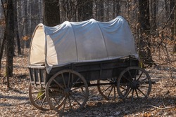 Abandoned old carriage wagon in forest.