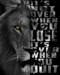 5000 x 4000 pixels a lion's head with inspiring text
