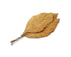 dry tobacco leaves