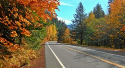 Color Drive - Autumn view along State Hwy 126 along the McKenzie River - OR