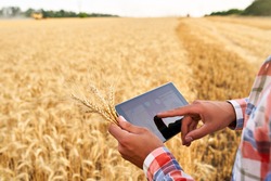 Precision farming. Farmer hands hold tablet using online data management software with maps at wheat field. Agronomist working with touch computer screen to control and analyse agriculture business.