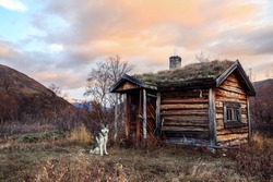 old cabin in with siberian Husky in Autumn