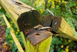 broken wooden hand rail with rusted and bent nails with a natural green background
