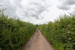a deserted straight Devon country lane with high hedges either side on a cloudy day