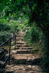 Ascent of stairs between the vegetation of the route to the source of the world river