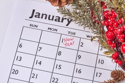January calendar with fir-tree branch with pine tree red berries. White paper new year calandar with xmas tree branch.