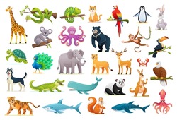 Set of wild animal cartoon illustrations