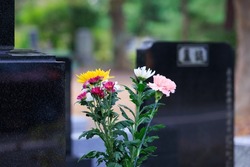 Flowers for a grave in a cemetery