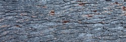 Panoramic photo relief texture of dry tree bark. Brown bark background. Banner.